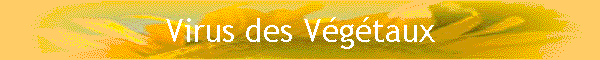 Virus des Vgtaux