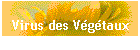 Virus des Vgtaux